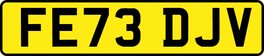 FE73DJV