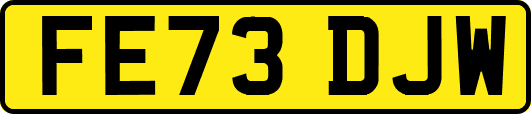 FE73DJW