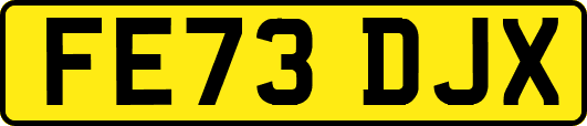 FE73DJX