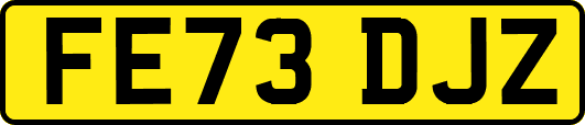 FE73DJZ