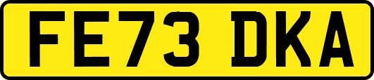 FE73DKA