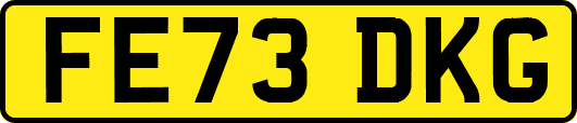 FE73DKG