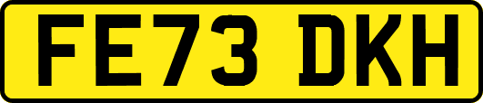 FE73DKH