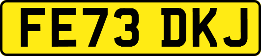 FE73DKJ