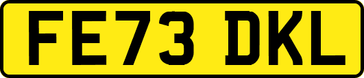FE73DKL