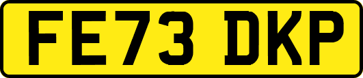FE73DKP