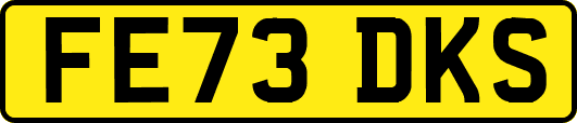 FE73DKS