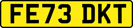 FE73DKT