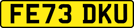 FE73DKU
