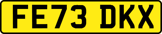 FE73DKX