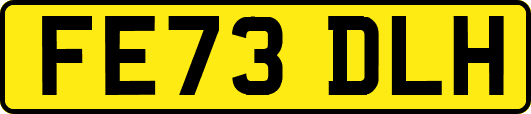 FE73DLH
