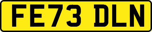 FE73DLN