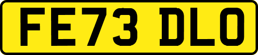 FE73DLO