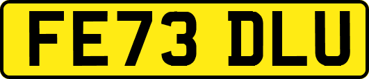 FE73DLU