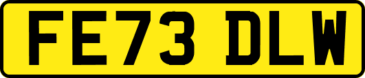 FE73DLW