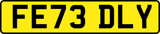 FE73DLY