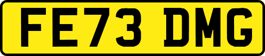 FE73DMG