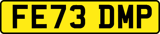 FE73DMP