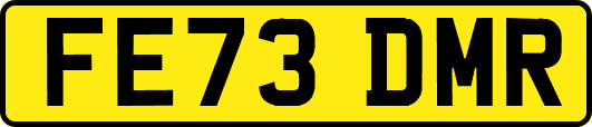 FE73DMR
