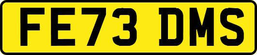 FE73DMS