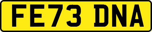 FE73DNA