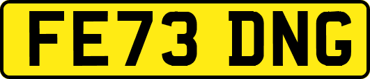 FE73DNG