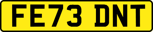 FE73DNT