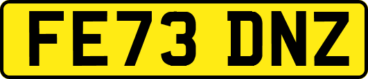 FE73DNZ