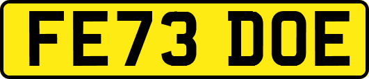FE73DOE