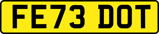 FE73DOT