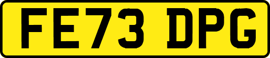 FE73DPG