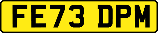 FE73DPM