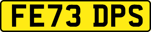 FE73DPS