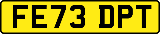 FE73DPT