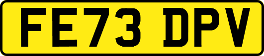 FE73DPV