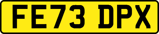FE73DPX
