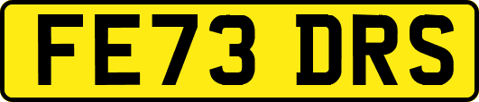 FE73DRS