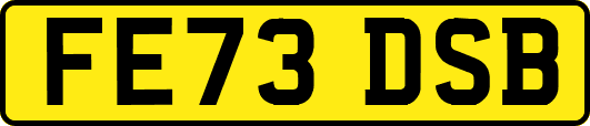 FE73DSB
