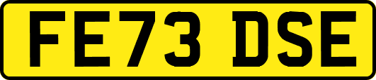 FE73DSE