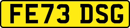 FE73DSG