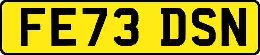 FE73DSN