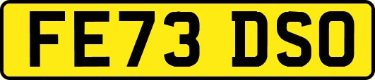 FE73DSO