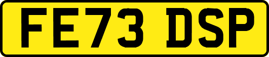 FE73DSP