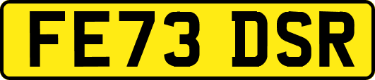 FE73DSR