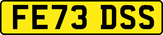 FE73DSS