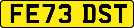 FE73DST
