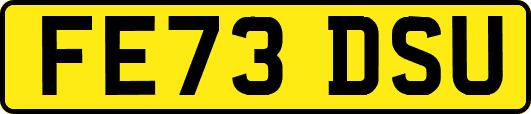 FE73DSU