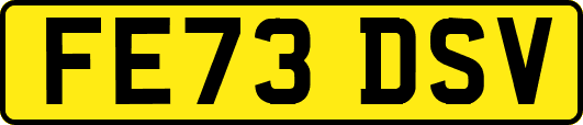 FE73DSV