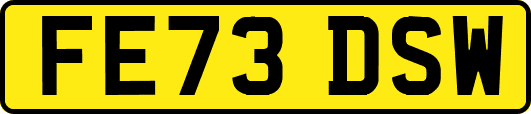 FE73DSW