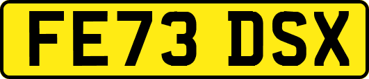 FE73DSX